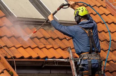 Démoussage et hydrofuge de toiture à Boisseau
